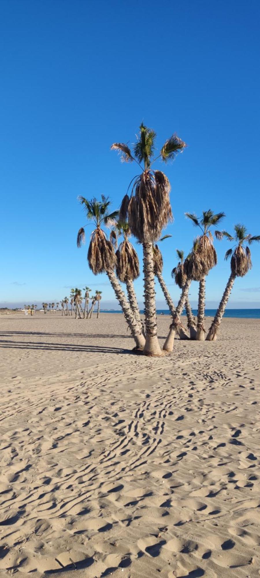 Balcon Del Mar Διαμέρισμα Canet d'En Berenguer Εξωτερικό φωτογραφία